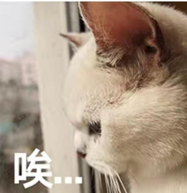 4月初集齐人的一生，3人将婚3人生子，7人离世，悲欢离合都有了