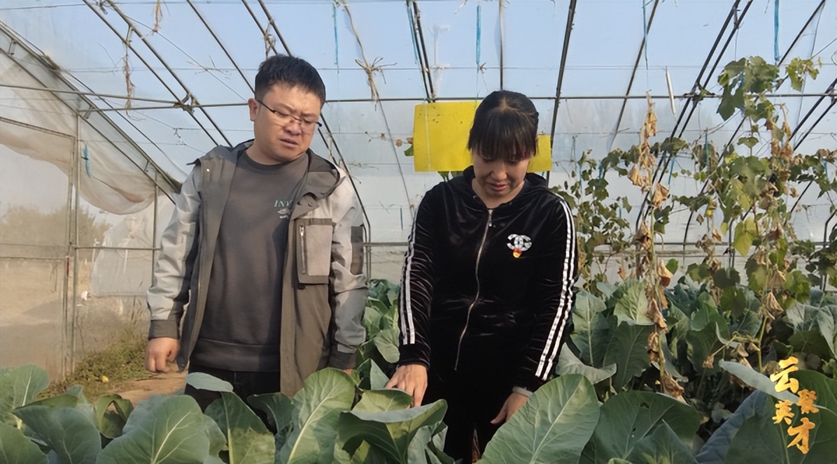 第七期乡村振兴致富带头人,乡村振兴致富带头人第二期