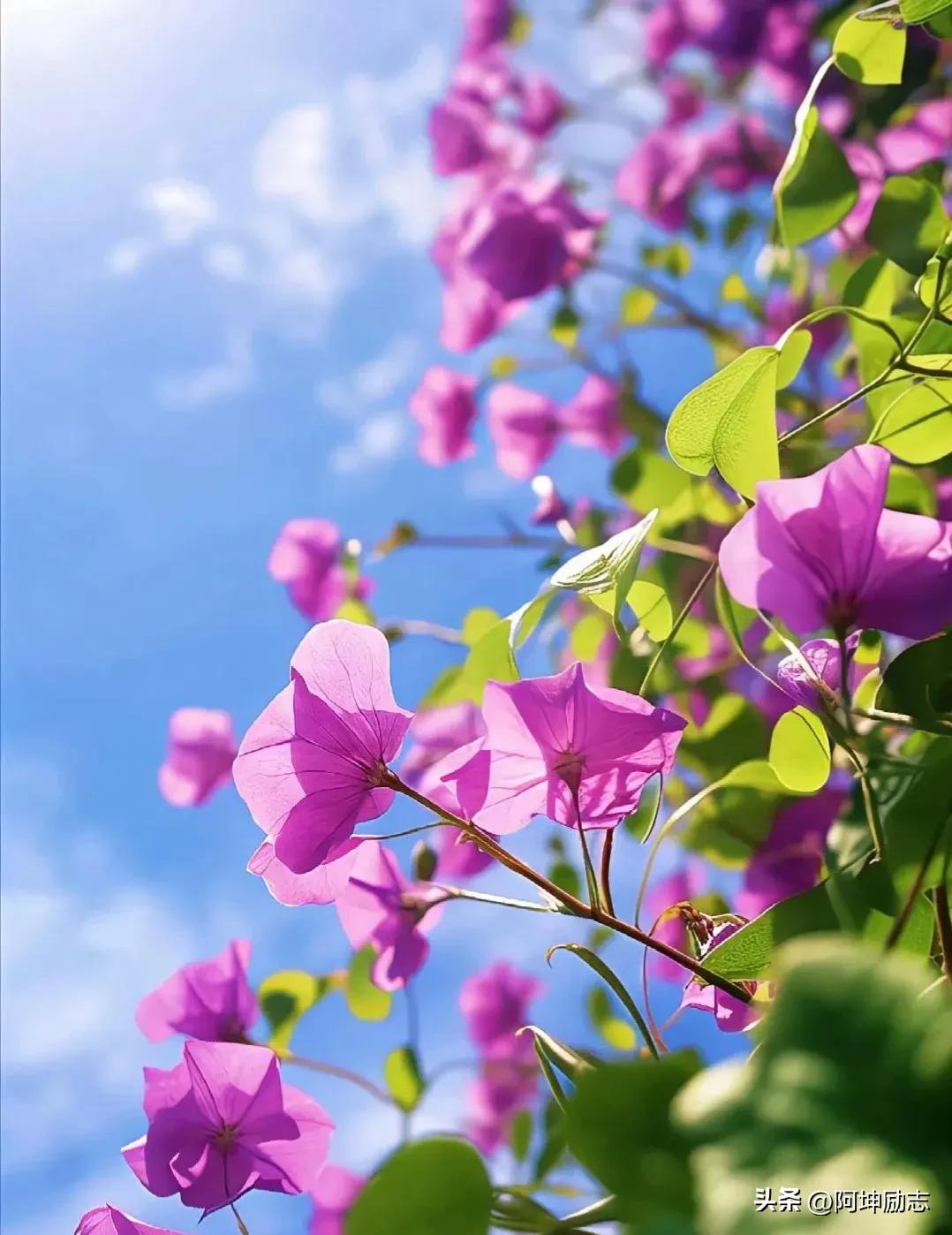 如何治愈心理受过的伤,如何治愈背叛出轨带来的心灵创伤