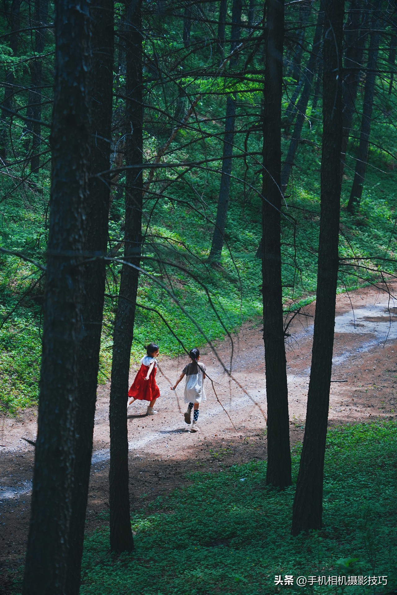 怎么拍出来有夏天感觉的照片,夏天这样拍照让你的照片美十倍