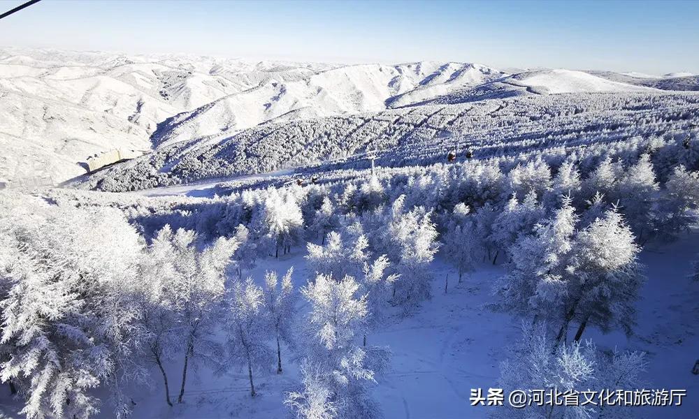 万龙滑雪场粉雪,万龙滑雪场粉雪全能板