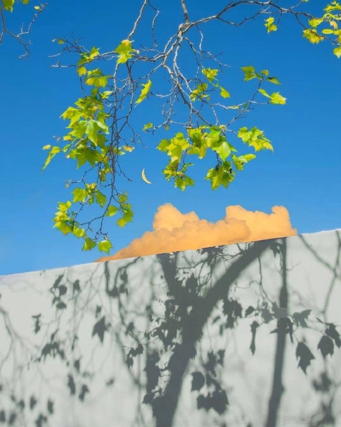 人生最好的投资是对妻子好,巴菲特最好的投资就是选对妻子