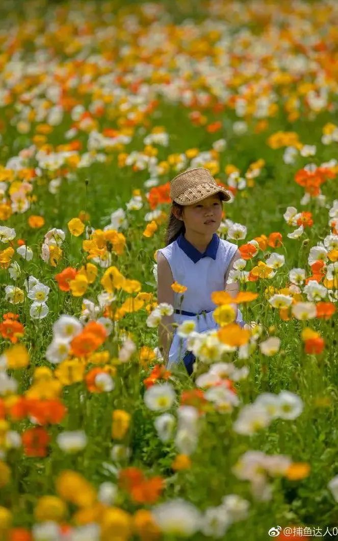 济南旅游公交专线有哪些 (济南近郊公交直达的游玩场所)