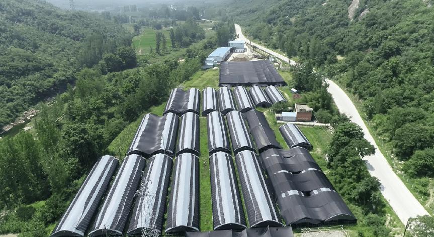 南召县富硒香菇种植示范基地,南召县富硒香菇照亮乡村振兴之路