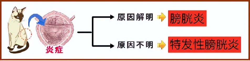 couldn'tconnecttohost