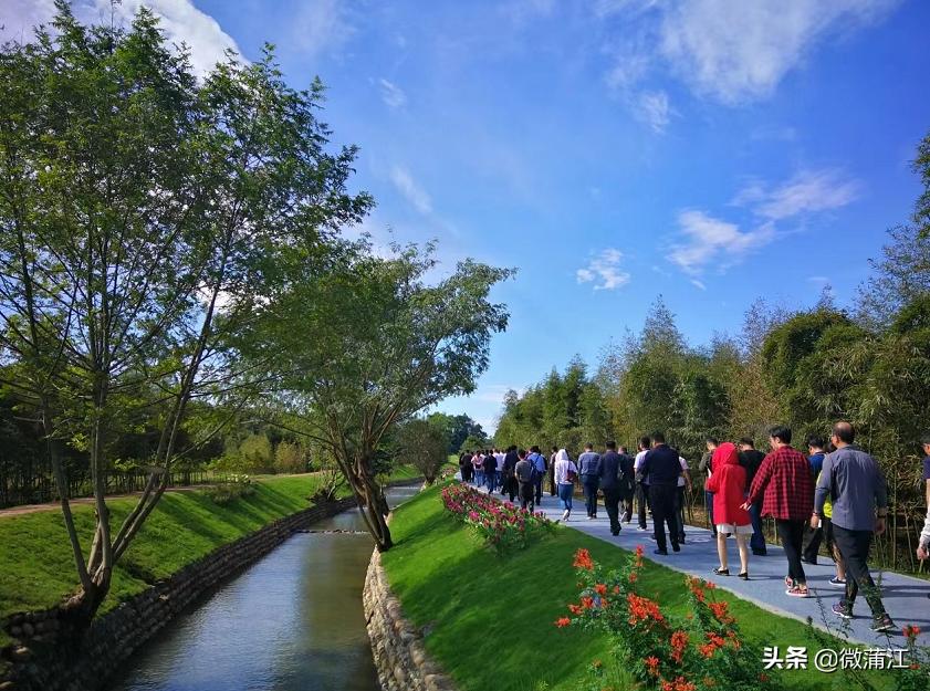 蒲江绿色生态屏障,蒲江县森林资源保护