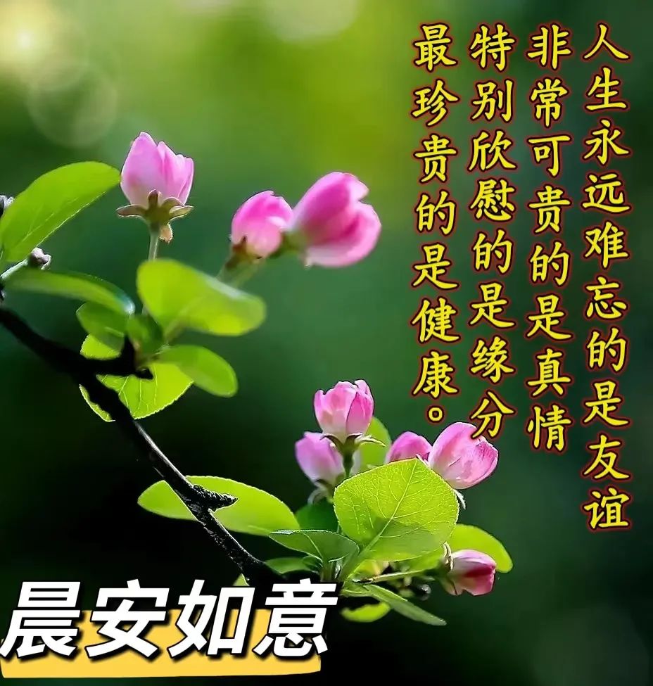 问候语祝福朋友的句子暖心,问候祝福朋友开心快乐的温馨句子