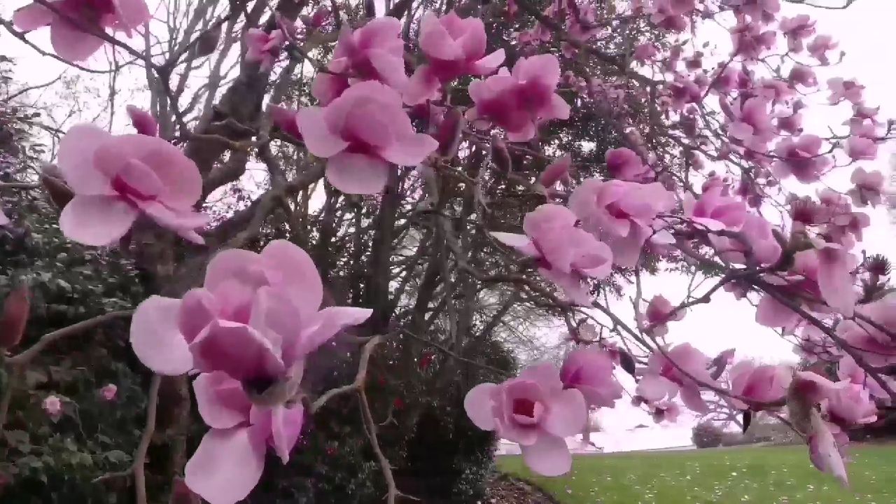 好山好水好寂寞出处,好山好水好寂寞69563725