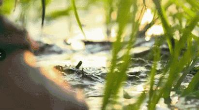 圈内人爆料的假恩爱夫妻,被骂最惨的一对秀恩爱夫妻