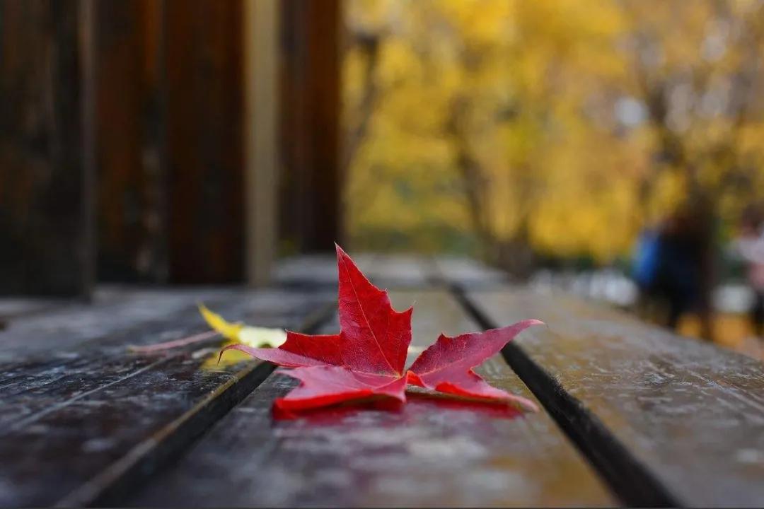 腰脱能练臀桥吗,腰间盘突出臀桥