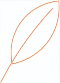 教育教学之路要漫漫求索,教育教学知识是教综吗