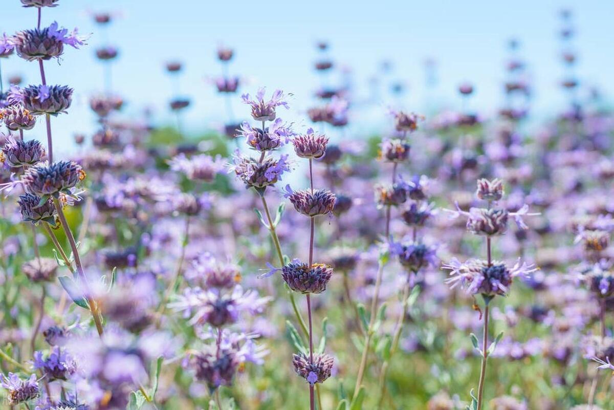 怎么消除消极思想,消除消极思想的最佳方法