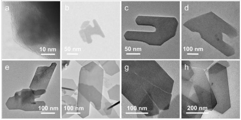 大连理工大学郭教授,大连理工郭院士