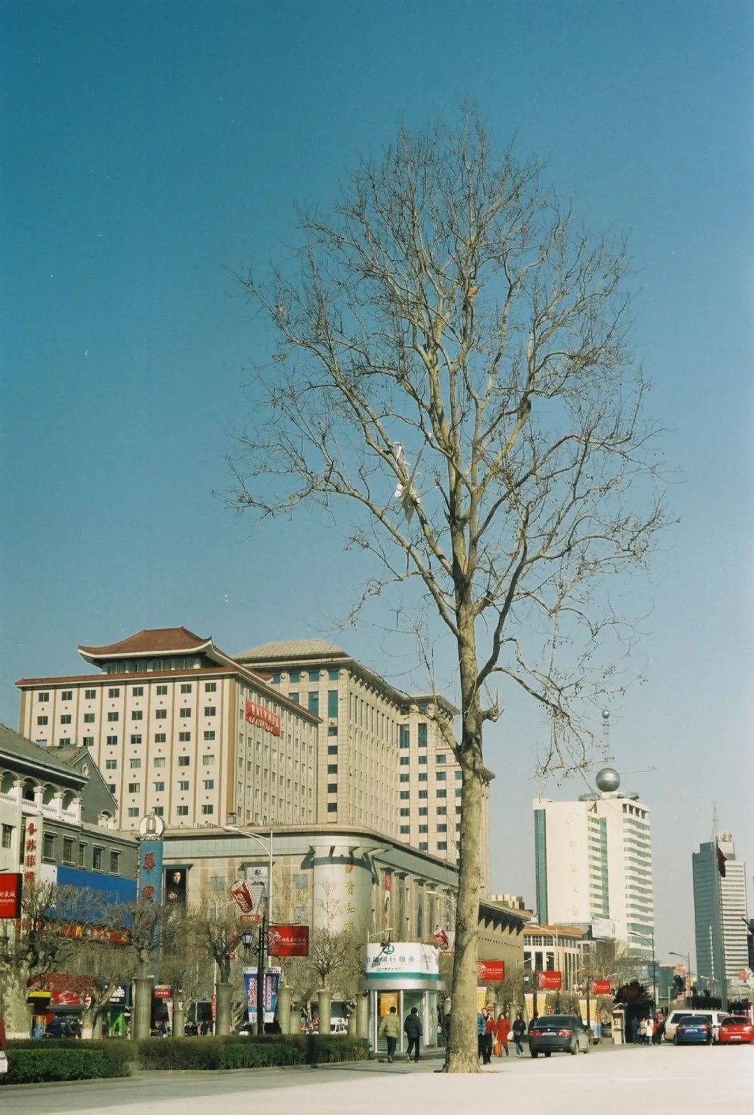 父亲作品分享|逛一条“金街”，忆一段年华