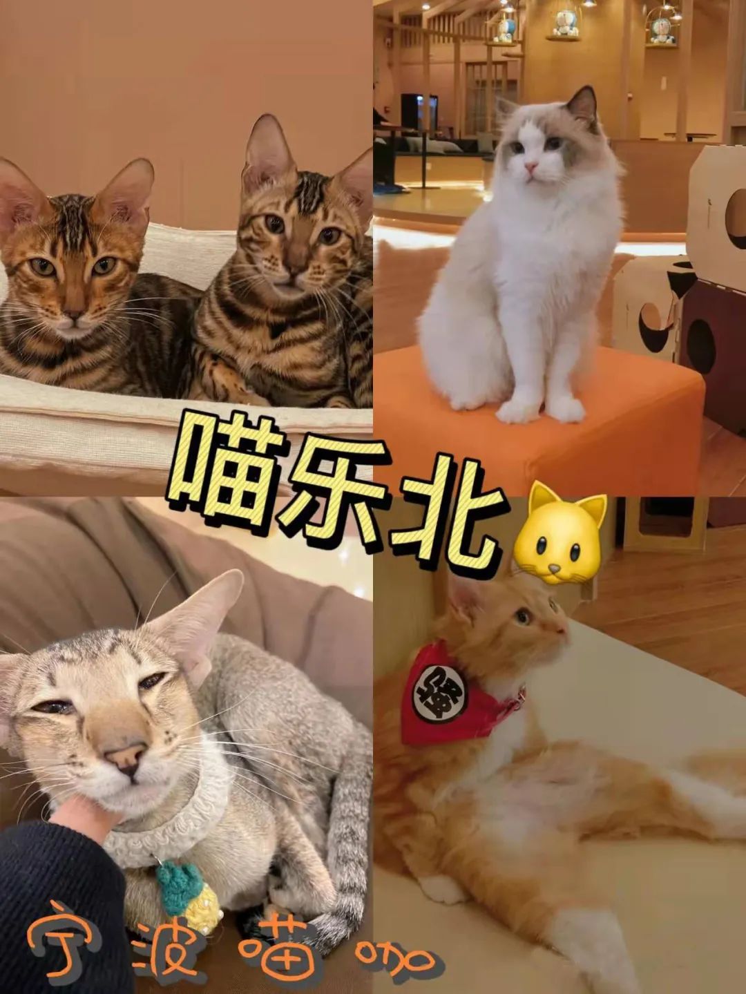 宁波万达潮玩,宁波潮玩店在哪