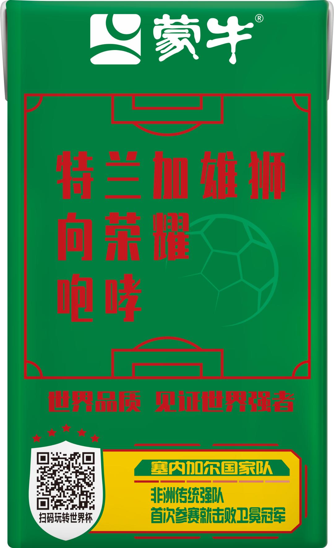 世界杯足球员故事,世界杯队长纪录片第四集