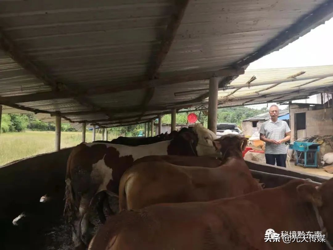 丹寨县营养餐配送,黄平县学生营养餐