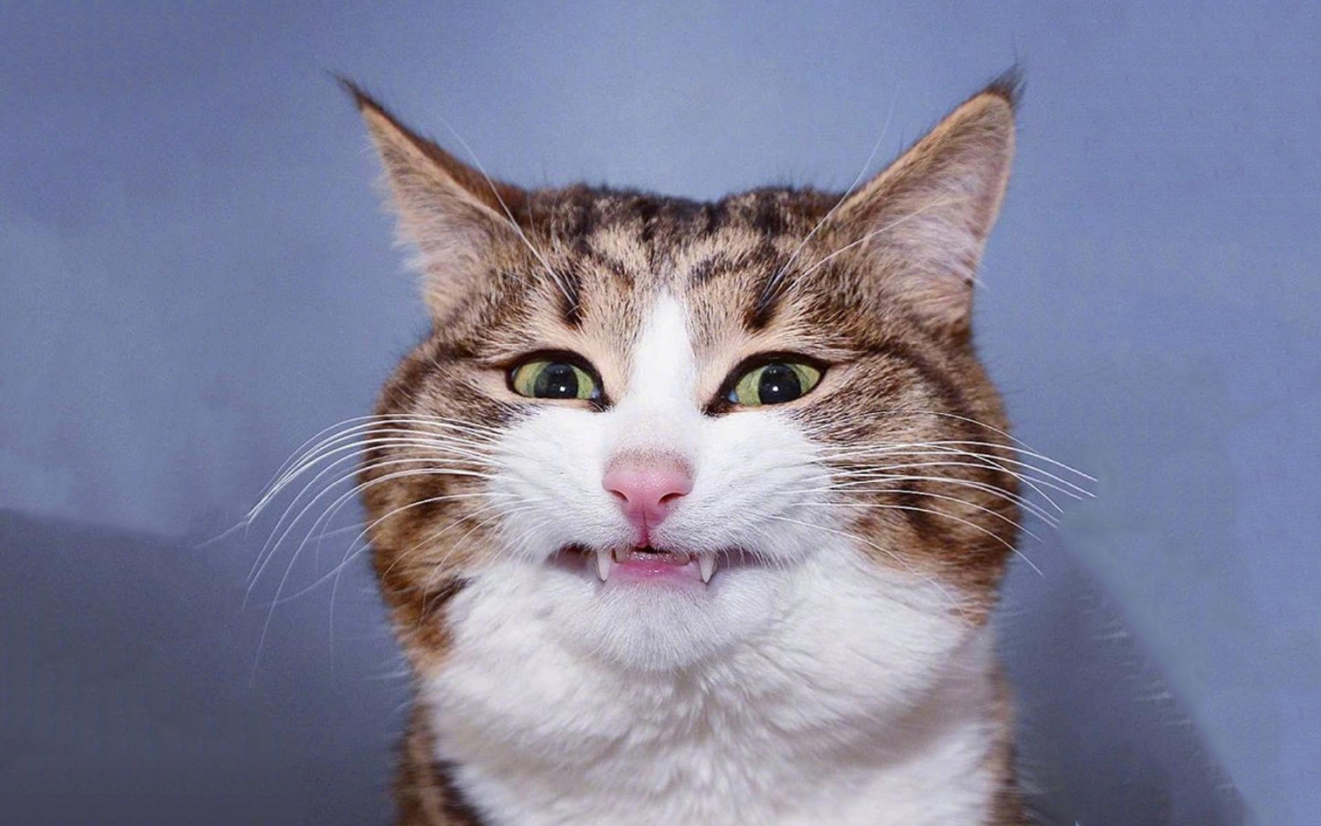 学驾照付出就有回报,学驾照从满心欢喜到心累