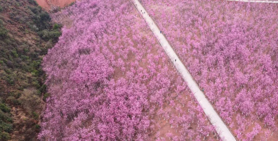 有一种生活叫做云南的生活,有一种叫云南的生活原文