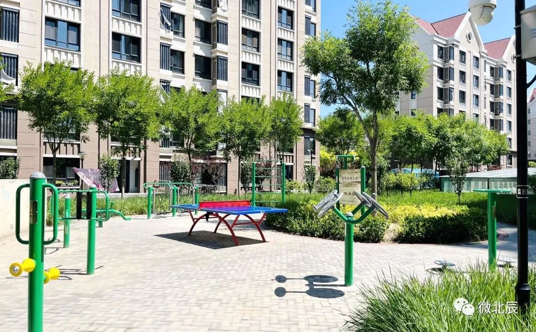 迎盛会铸忠诚强担当创业绩朗诵,迎盛会铸忠诚强担当创业绩汇演