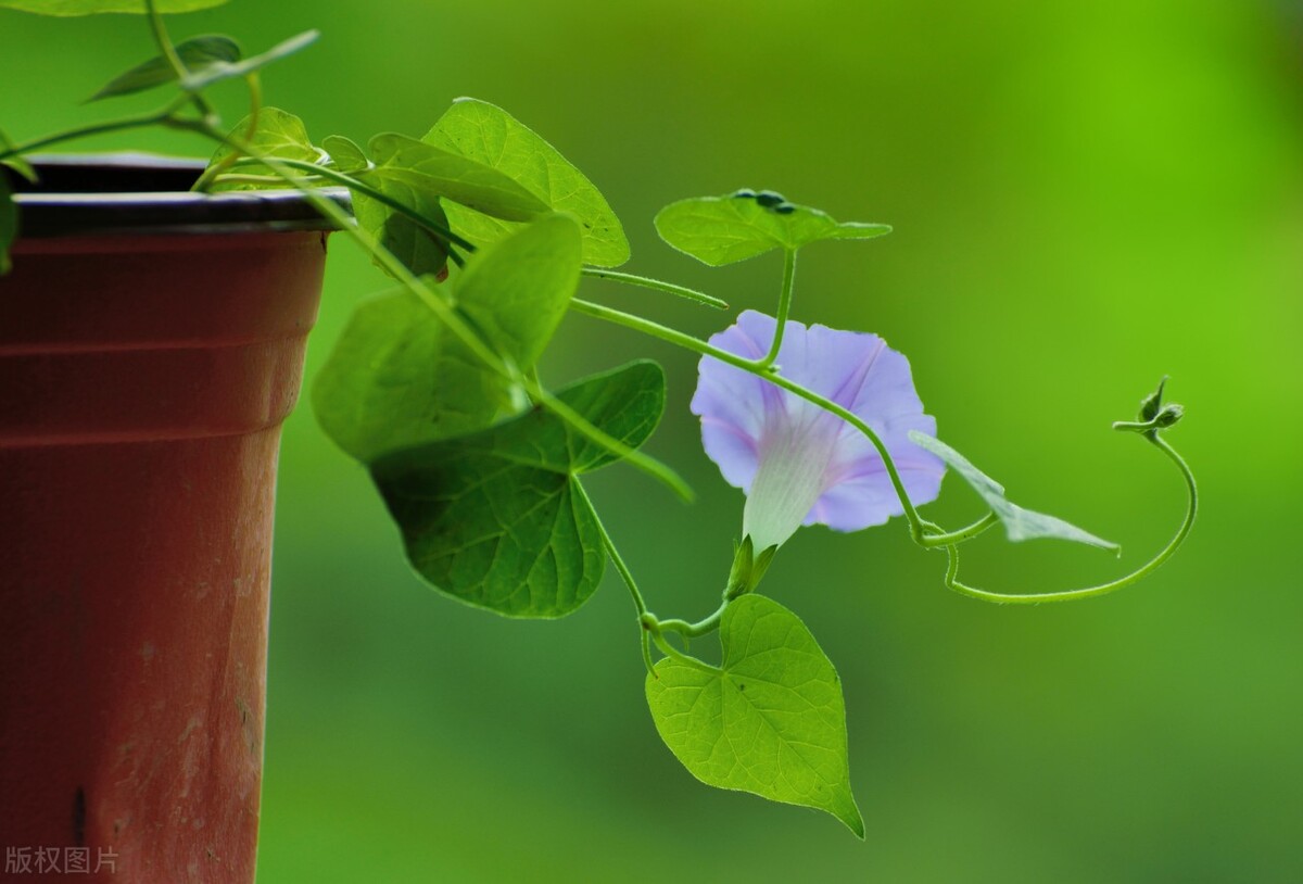 写给爱而不得的人一些话,写给爱而不得的一个人