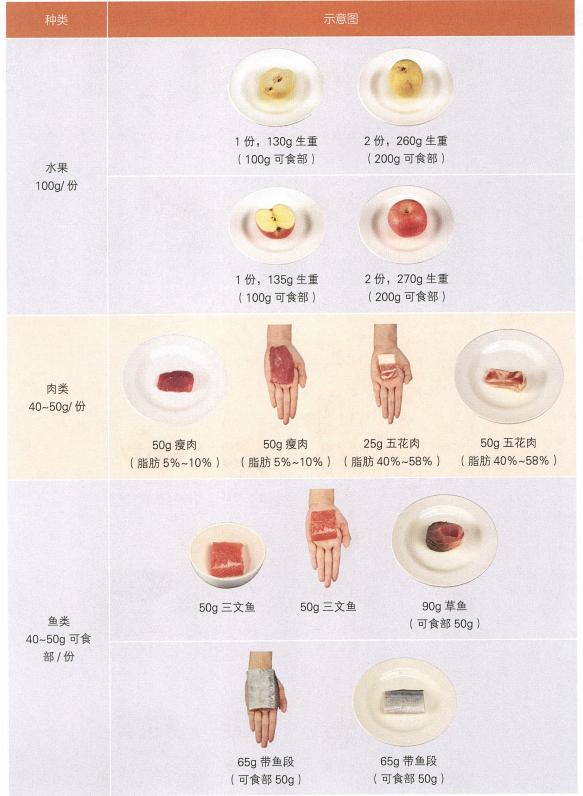 如何看食物的量,认识食物大全