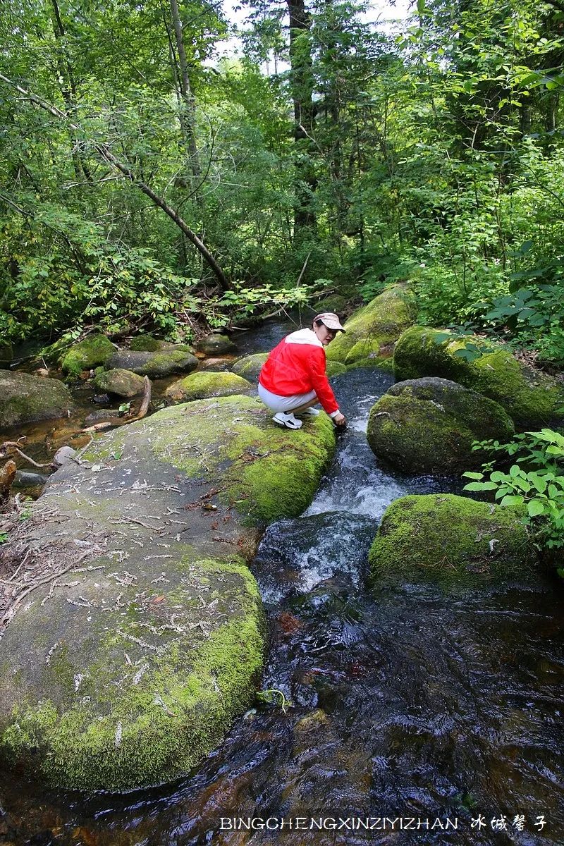 火山口国家森林公园与地下森林,清凉度夏探秘地下森林