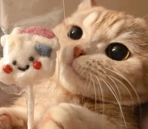 心理学安抚技术,心理疏导十个方法语音讲解