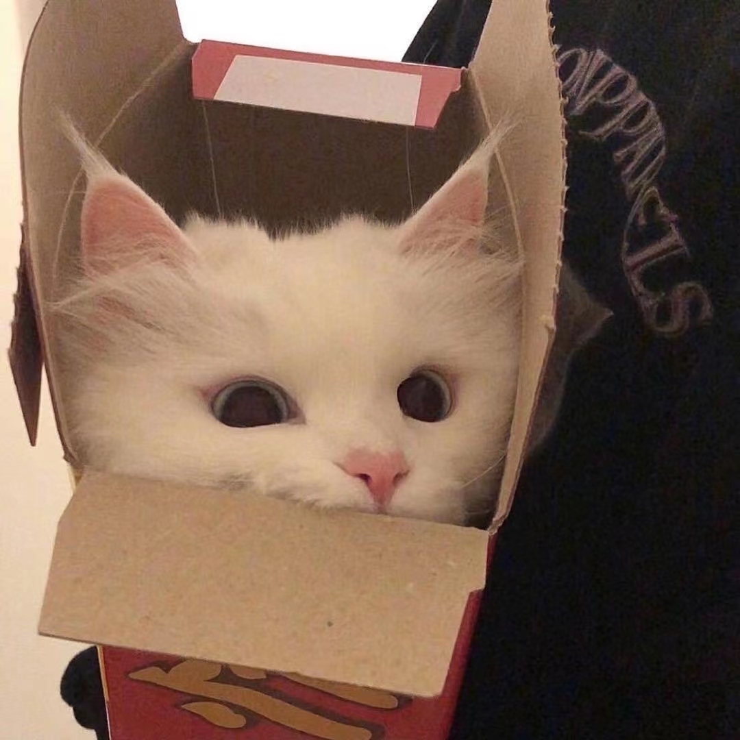 女网名温柔好听,温柔好听又吸引人的网名