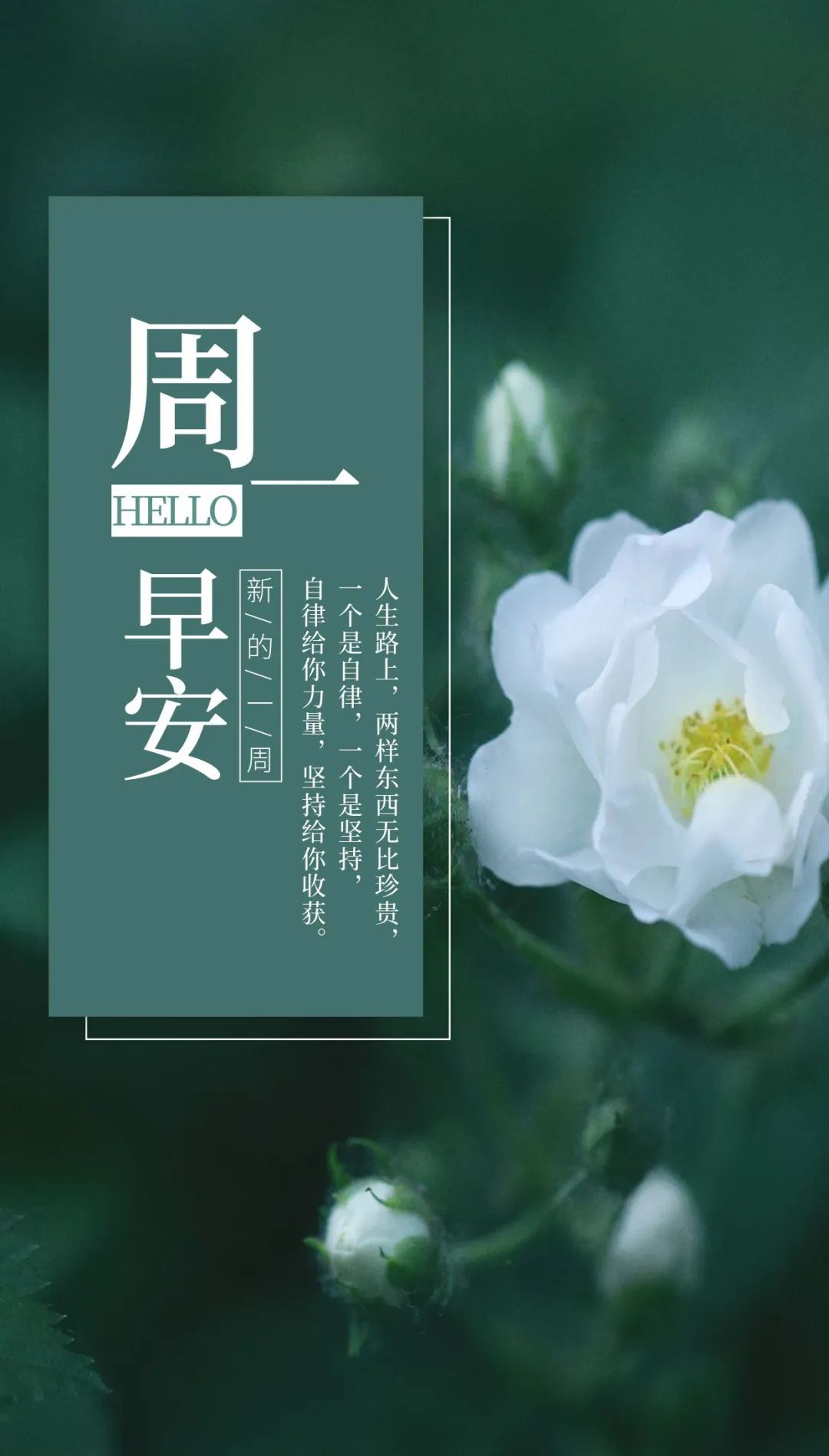 经典动人的早安心语语录汇编76条,早安心语带字正能量简短的句子