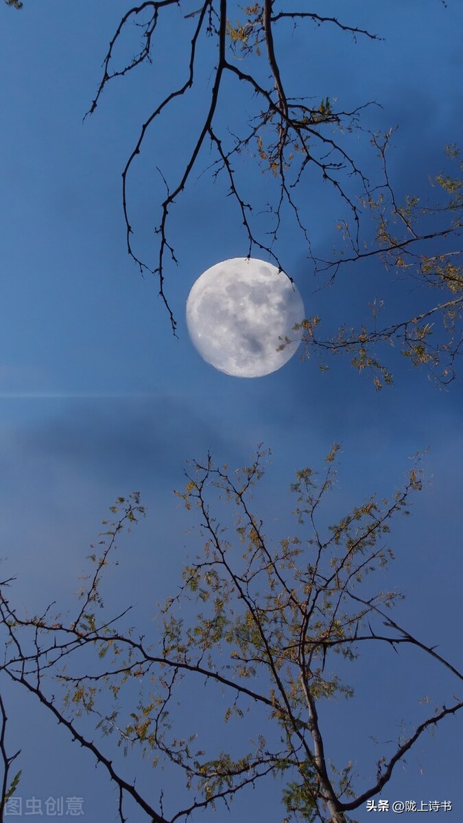 明月诗句经典古诗,一树梨花一溪月不知今夜属何人