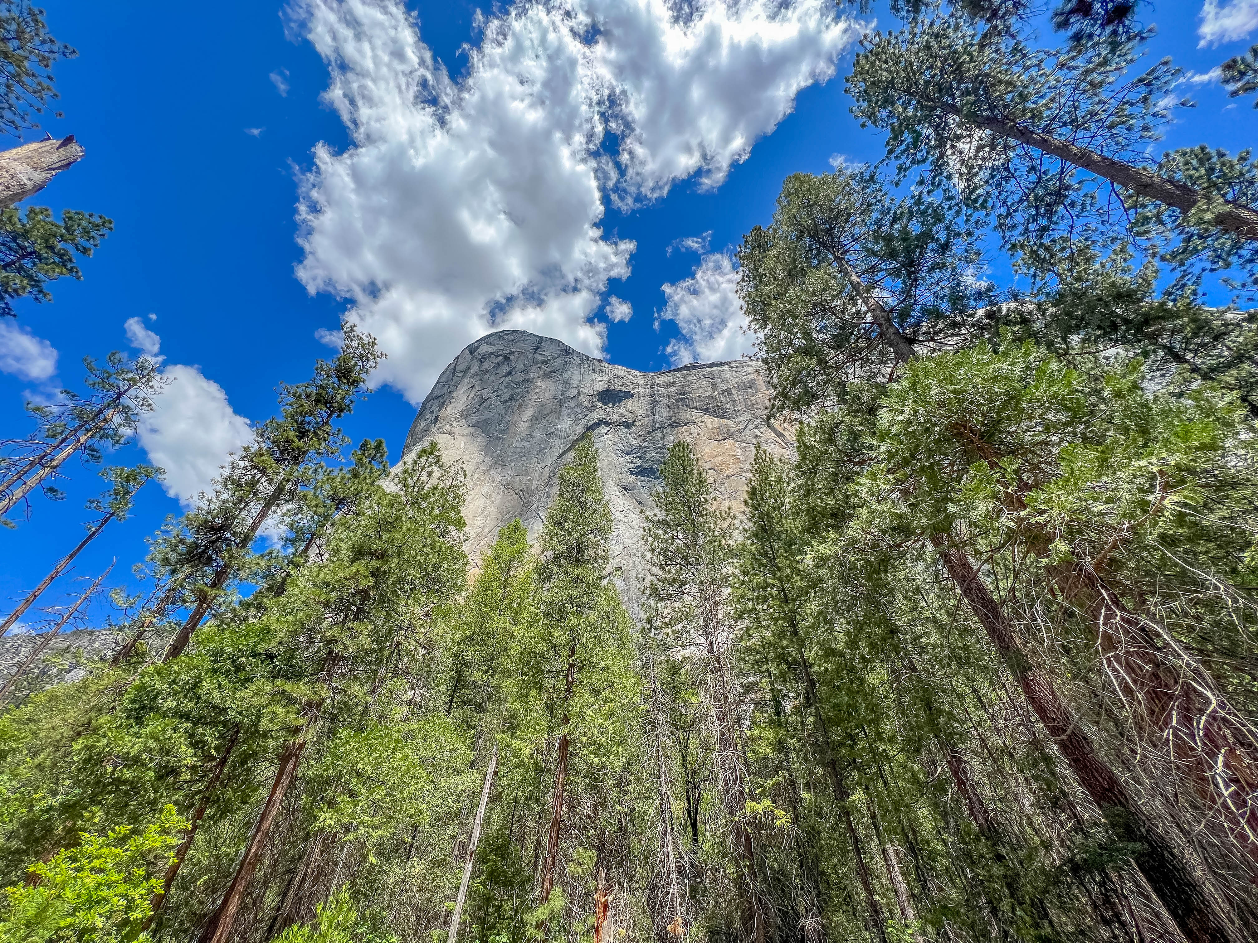 加州优胜美地景点推荐,美国优胜美地旅游