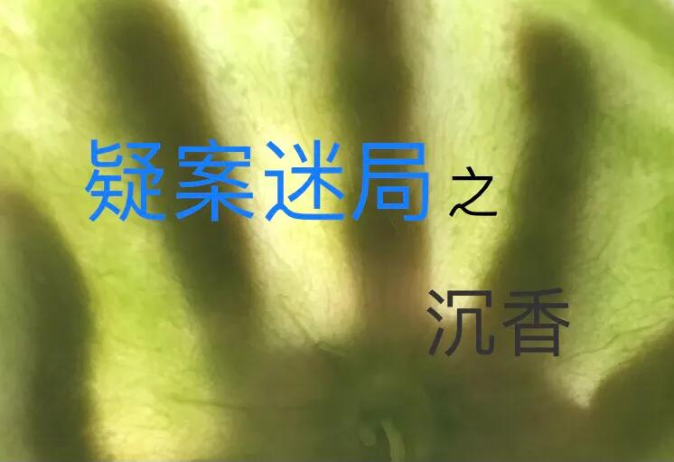 娌夐100%鐪熷搧瓒婂崡,娌夐108