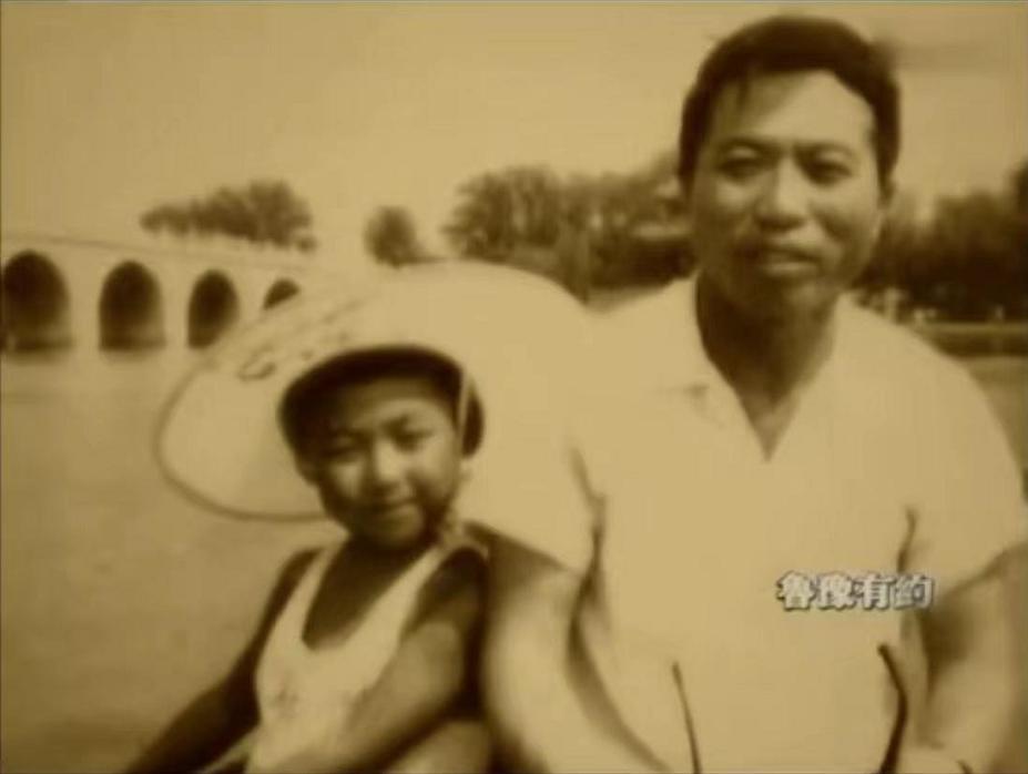 胡海泉和陈羽凡怎么了,胡海泉与陈羽凡现状