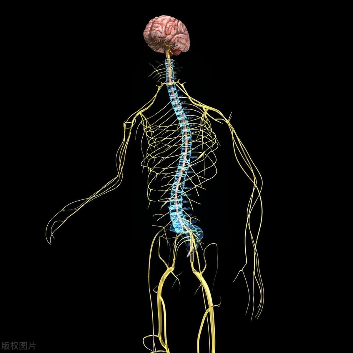 梅毒治疗过程中需要注意什么,梅毒各个阶段的治疗方法