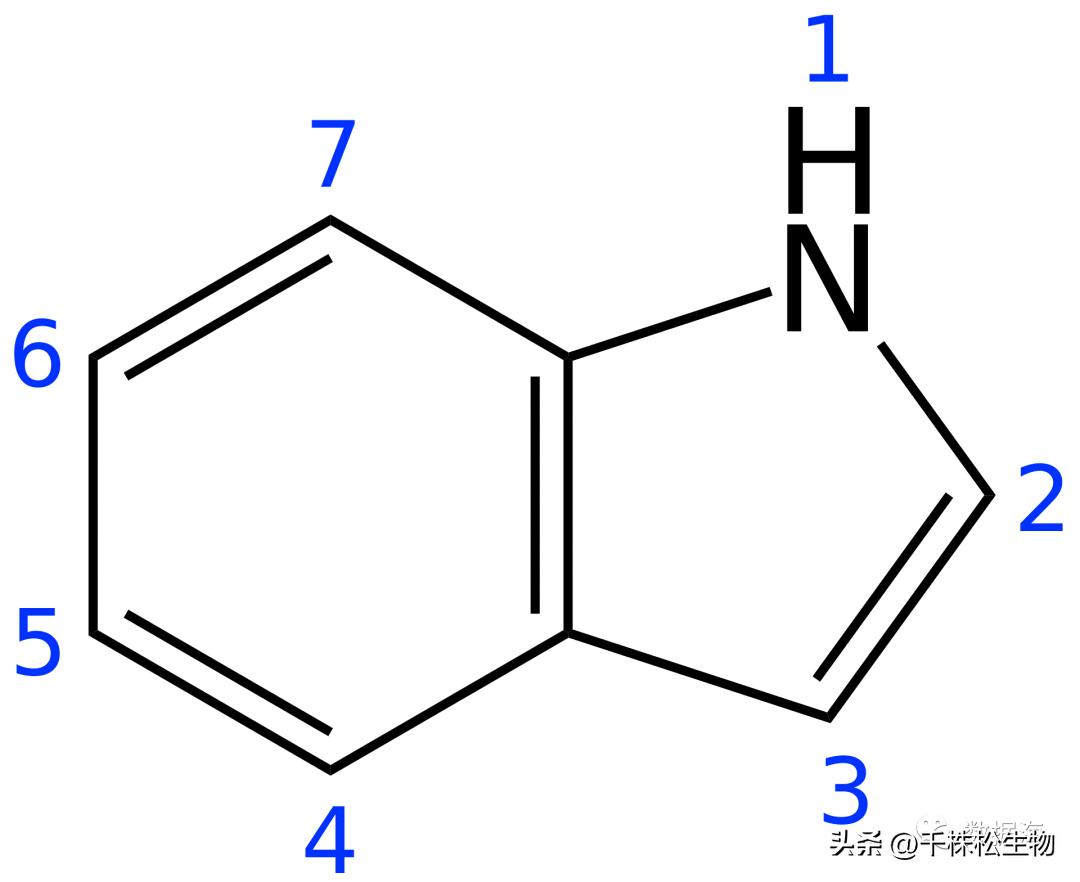 色氨酸是氨基酸,色氨酸和氨基酸的区别