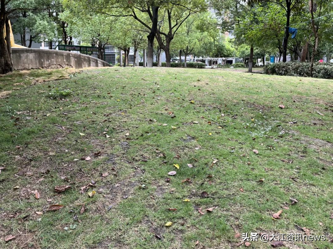 换了物业后这个小区焕然一新,换了物业的小区后来怎么样了