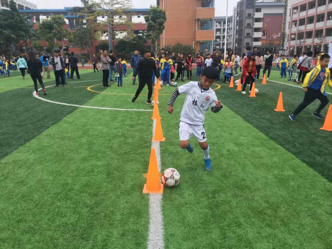 鼎湖人,肇庆市鼎湖人口