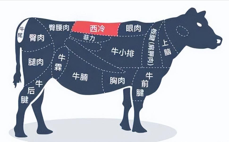 新手如何挑选乳胶床垫,初学者床垫