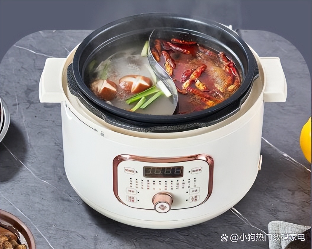 电压力锅十大品牌排名,十大品牌电压力锅质量排名图片