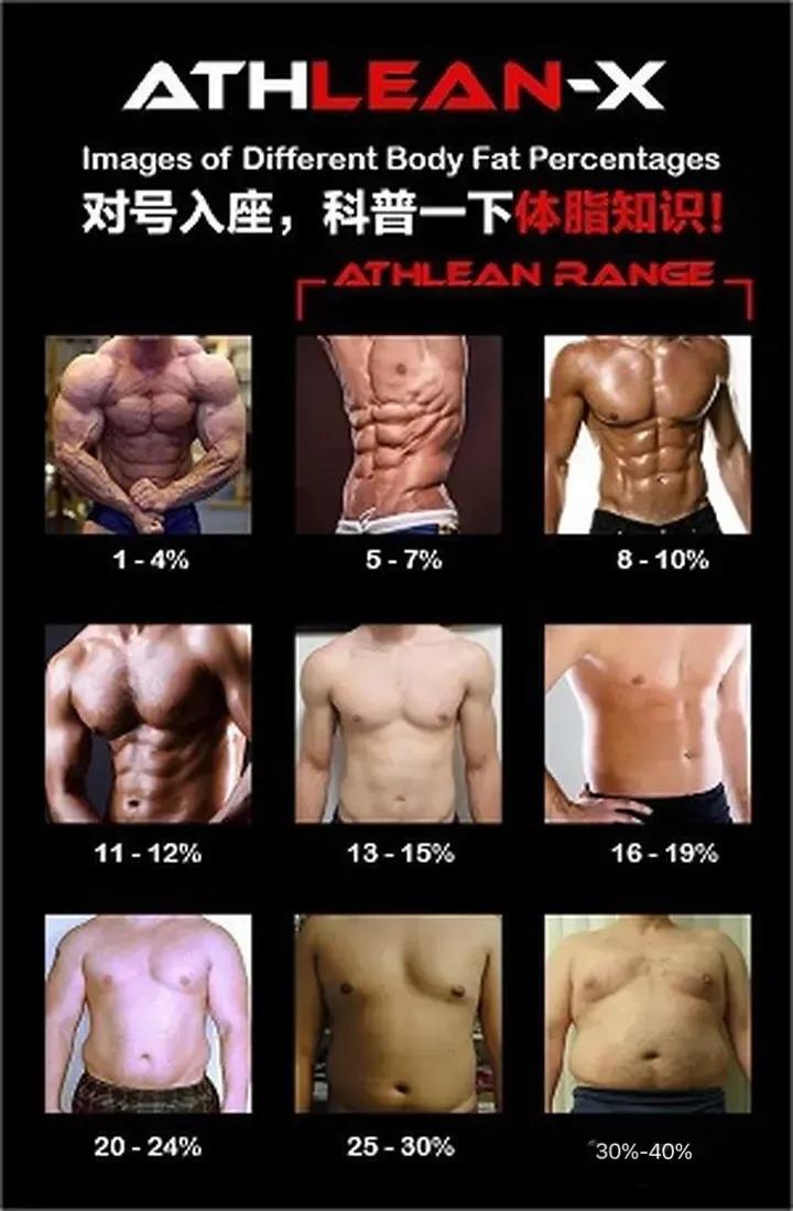 紧致腰腹肌锻炼方法,腹肌锻炼可以让肚子更紧致