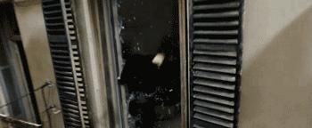 好莱坞经典疾速追杀,好莱坞三大禁忌疾速追杀