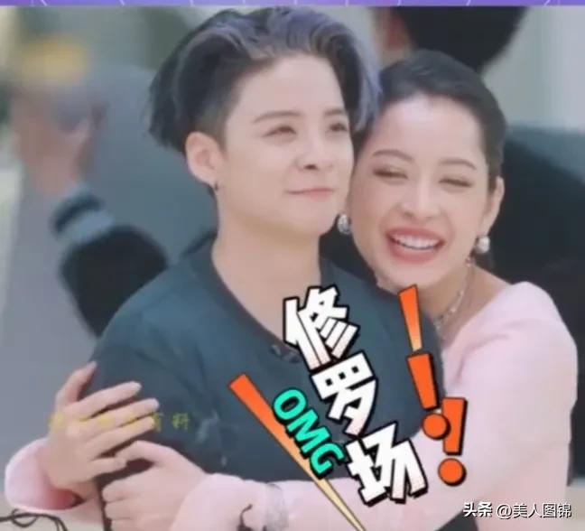 越南芝芙,芝芙越南