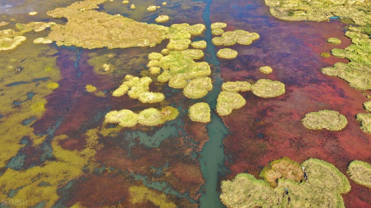 一个人在荒岛怎么求生,一个人被困荒岛