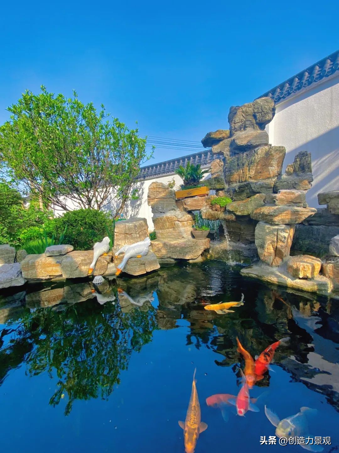 庭院鱼池怎么设计,庭院设计鱼池的最佳方法