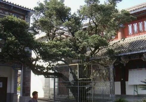 王燮元老师驾鹤西去一路走好