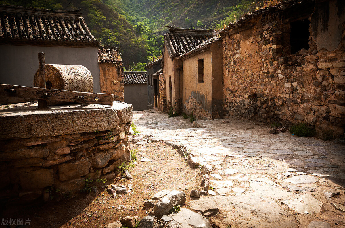 宠物托运包车攻略,宠物托运黄山