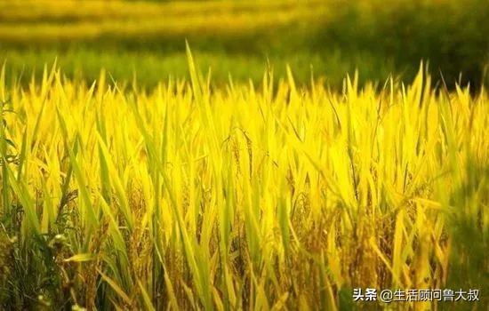 北京市的世界文化遗产有哪些,首批农业文化遗产