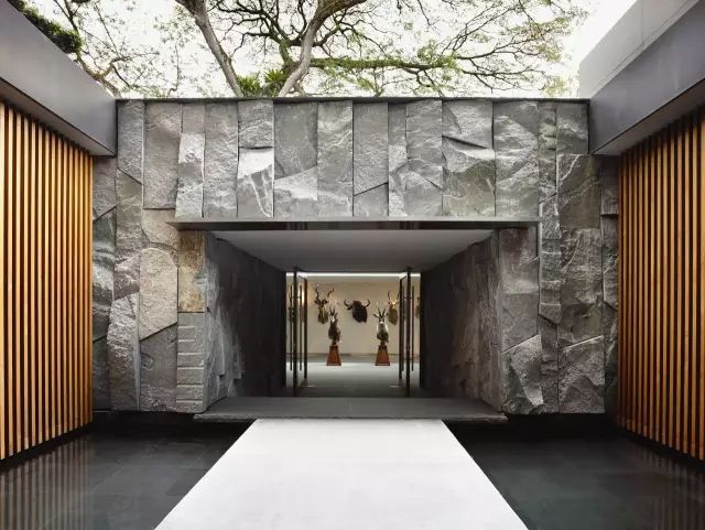 大山里捡回来的石头,大山里的石头块