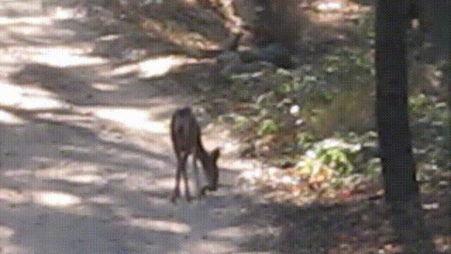 超级血液代表着什么,超级血液是啥